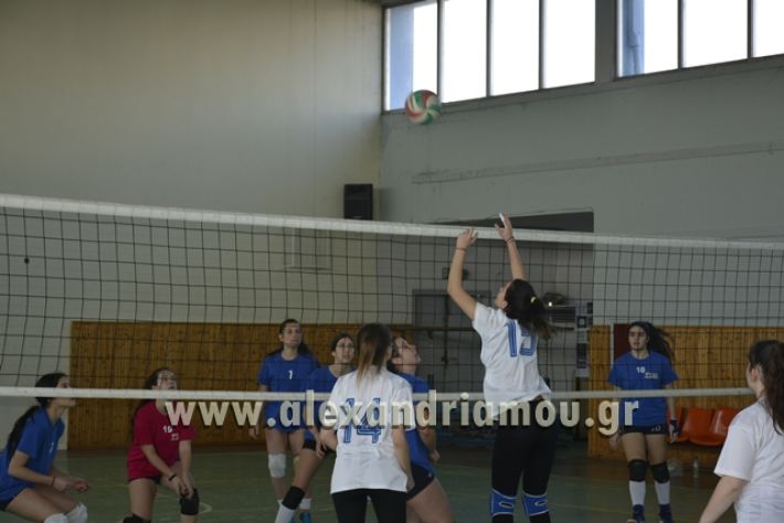 volley_1o-alexandreias-melikis2018 (38)